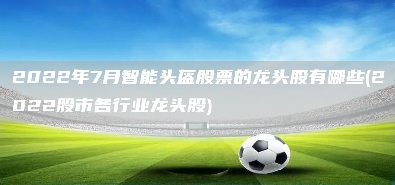 2022年7月智能頭盔股票的龍頭股有哪些(2022股市各行業龍頭股)(圖1)